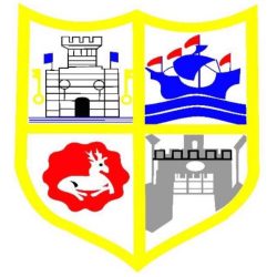 Totnes & Dartington FC Logo